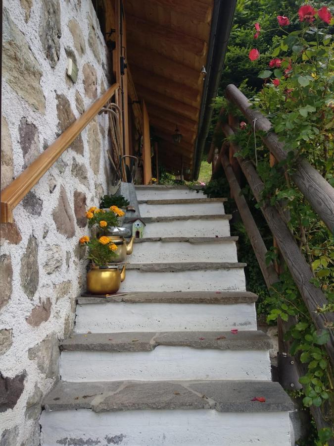 Bed and Breakfast Il Ciliegio Imer Экстерьер фото